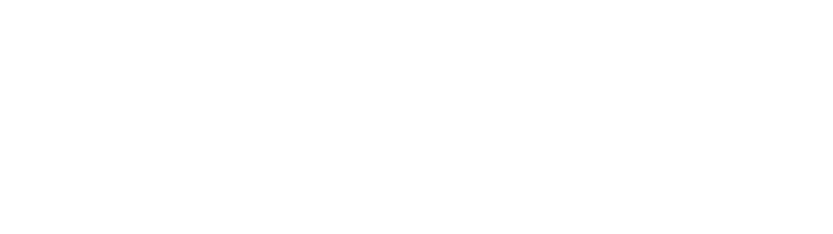 The-Collection (1)